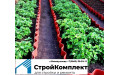 Полоса Шиферная 350*1130*5,2мм ВОЛНА ограждение для грядок (4,32кг)